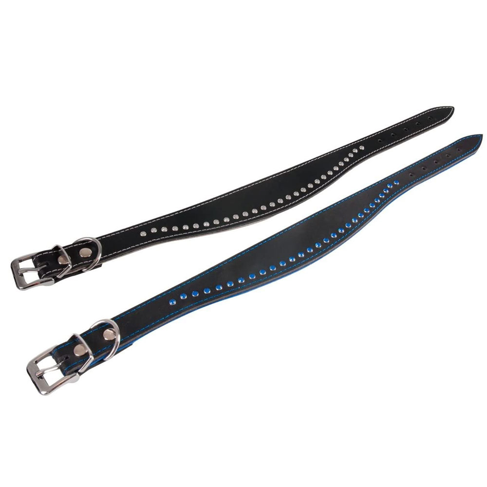 Bild 1 von Karlie Halsband Chic - Schwarz/Blau  / (Variante) 55 cm / 40 mm