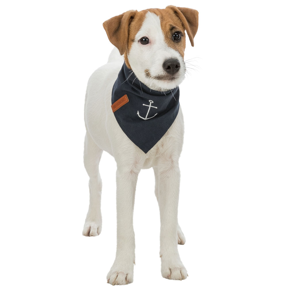 Bild 1 von Trixie BE NORDIC Halstuch - dunkelblau  / (Variante) M / 40 cm