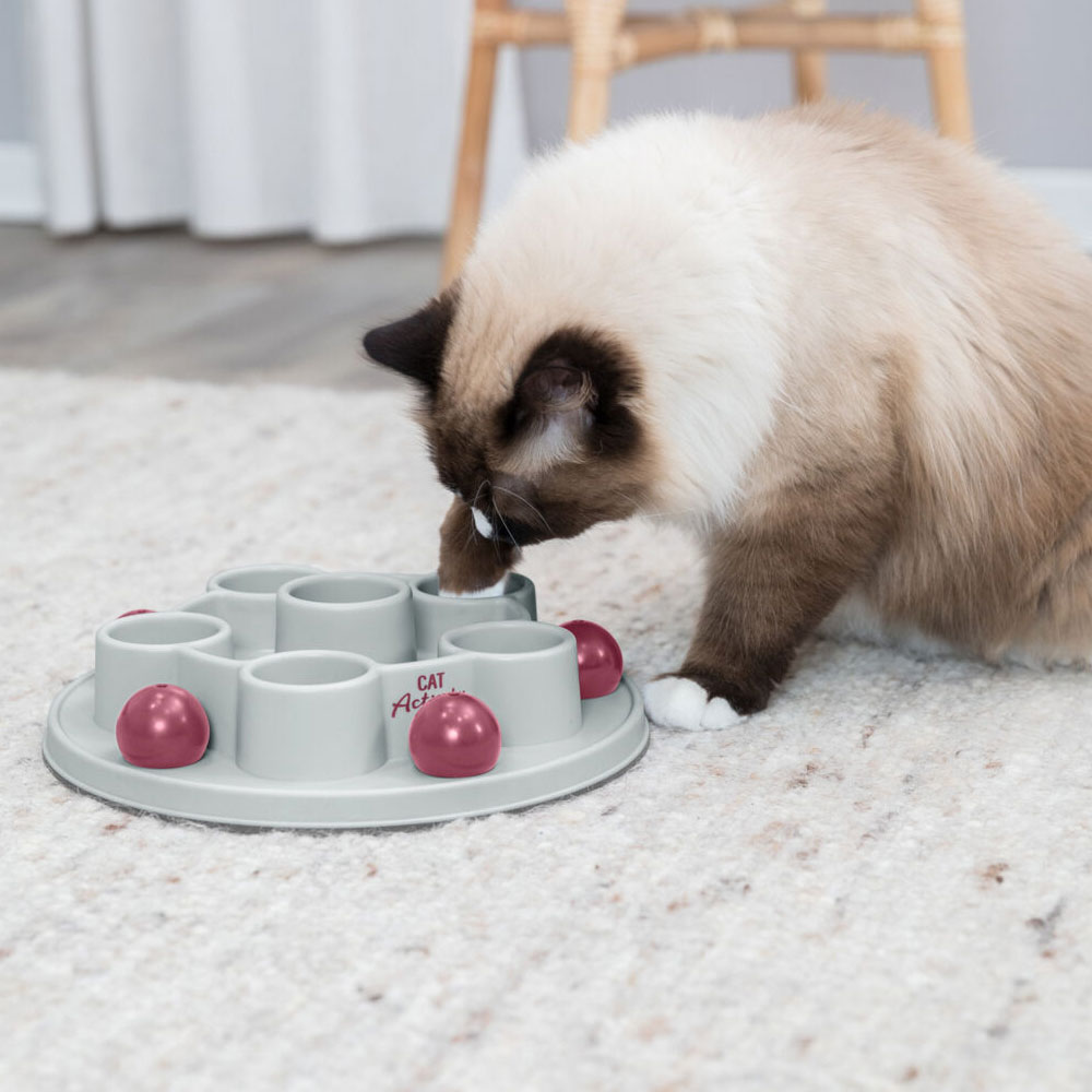 Bild 1 von Trixie Cat Activity Pentagon