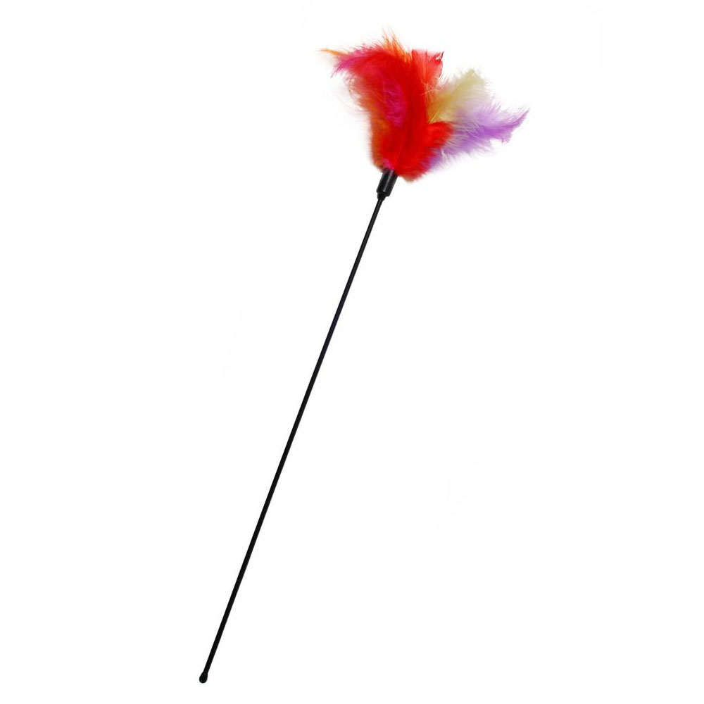 Bild 1 von Karlie Flamingo Katzenwedel mit Federn - multicolor