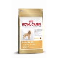 Royal Canin Pudel Adult (500 g)