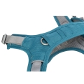 Bild 2 von Trixie Premium Active Geschirr - petrol  / (Variante) 30–40 cm/15 mm